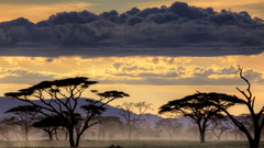 Clouds Landscapes Serengeti