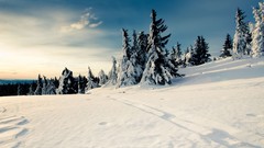 Clouds Landscapes snow Trees