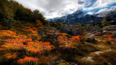 Clouds Landscapes Trees