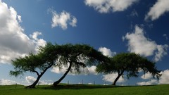 Clouds Landscapes Trees