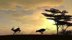 Clouds Landscapes Trees