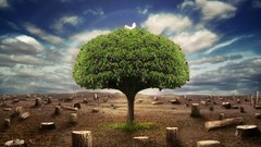 Clouds Landscapes Trees Desktopography