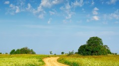 Clouds Landscapes Trees fields