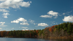 Clouds Landscapes Trees forest
