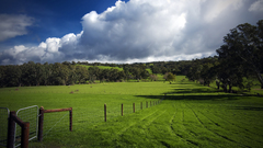 Clouds Landscapes Trees grass