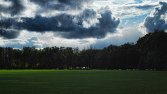 Clouds Landscapes Trees grass