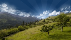Clouds Landscapes Trees outdoors