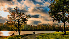 Clouds Landscapes Trees paths