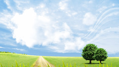 Clouds Landscapes Trees skyscapes