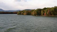 Clouds Landscapes Trees skyscapes