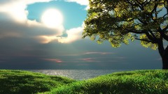 Clouds Landscapes Trees sunlight