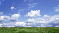 Clouds meadows skyscapes