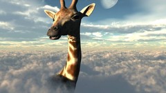 Clouds moon 3d Giraffes