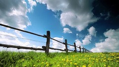 Clouds nature fences grass