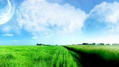Clouds nature fields