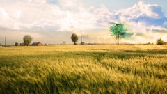 Clouds nature fields outdoors