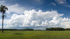 Clouds nature forests
