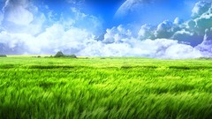 Clouds nature grass fields