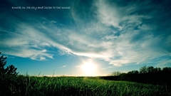 Clouds nature grass outdoors