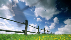 Clouds nature grass skies