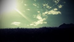 Clouds nature sun grass