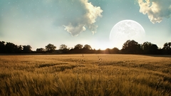 Clouds nature sun Trees