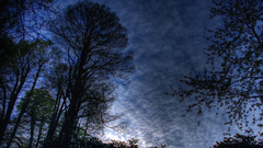 Clouds nature Trees