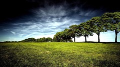 Clouds nature Trees grass