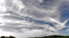 Clouds nature Trees grass
