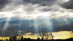 Clouds nature Trees silhouettes