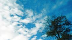 Clouds nature Trees skyscapes