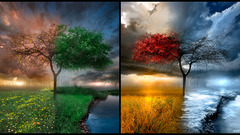 Clouds nature winter Trees