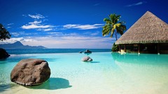 Clouds palm trees Beaches cabin
