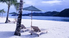 clouds palm trees chair water