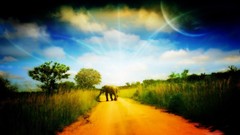 Clouds roads elephants planets