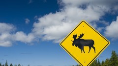 Clouds sign forests moose