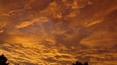 Clouds silhouettes skyscapes