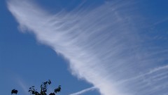 Clouds silhouettes skyscapes