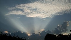 Clouds silhouettes sunlight skyscapes