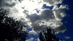 clouds sky blue dark Trees sun