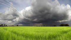 Clouds sky nature wheat