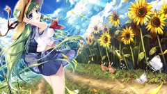 Clouds Sunflowers Butterflies hats outdoors skirts long hair 
