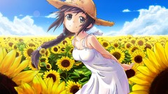 Clouds Sunflowers gray eyes anime girls brunettes braids skies 