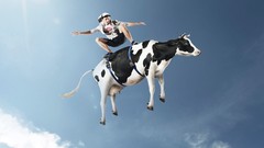 Clouds surfing Cows skies artwork digital art