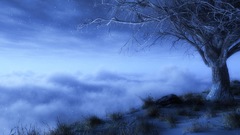 Clouds Trees digital Art