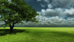 Clouds Trees fields