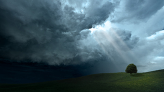 Clouds Trees grass nature