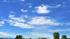 Clouds Trees grass skyscapes