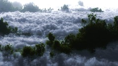 Clouds Trees in nature