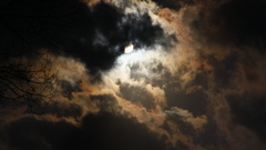 Clouds Trees night moon